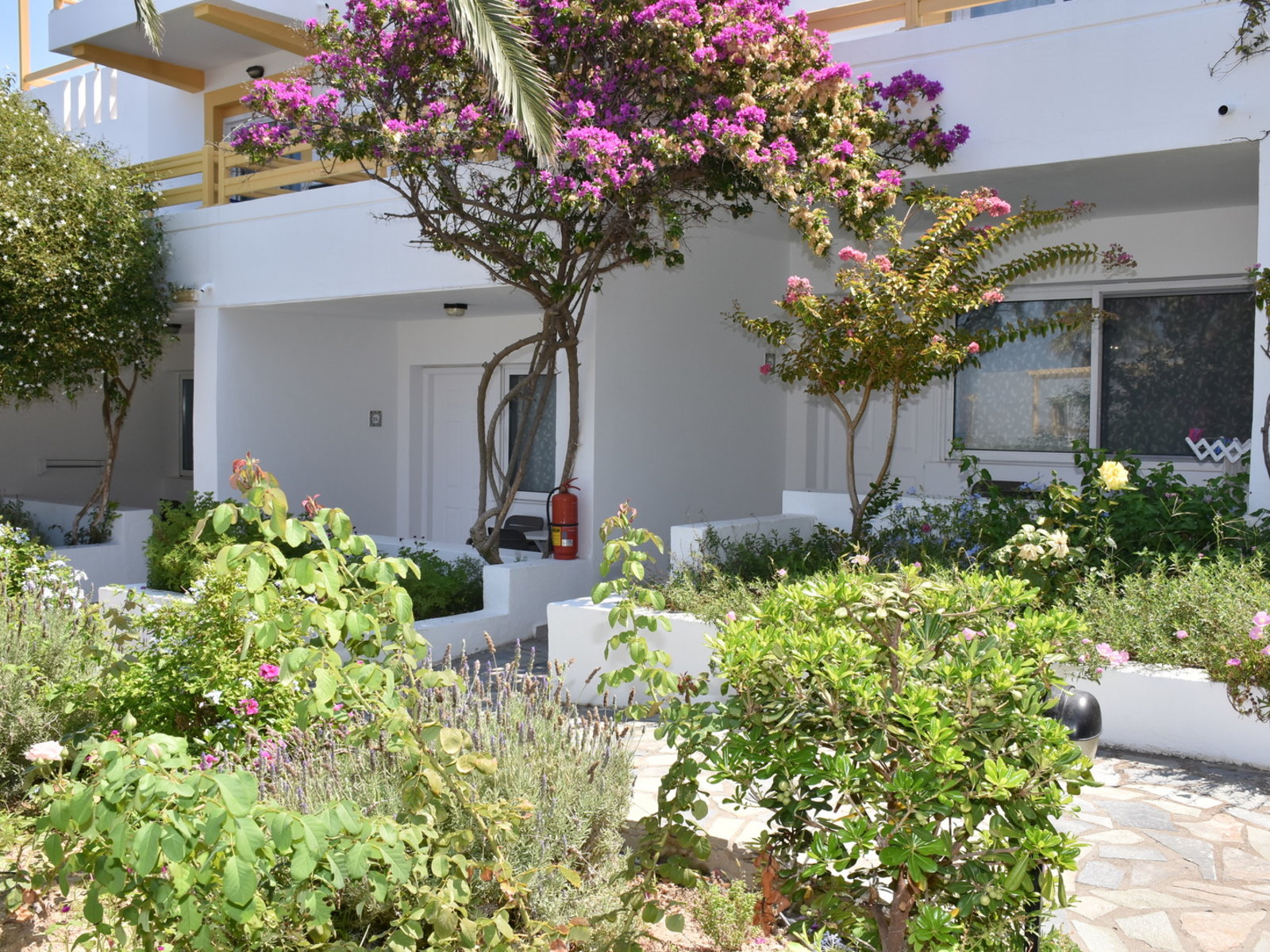 Wohnbeispiel Comfort Gartenblick(Modellbild)