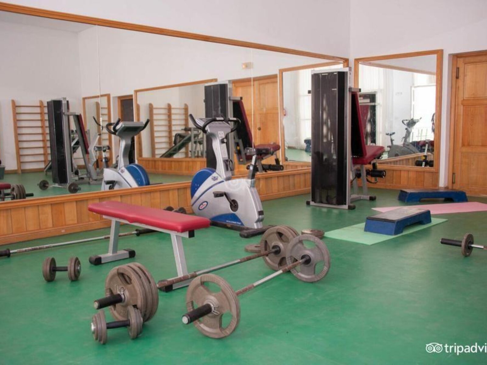 Sport