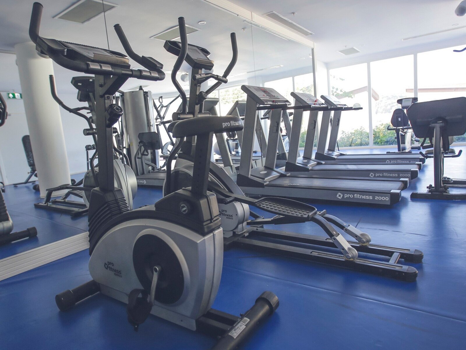 Sport