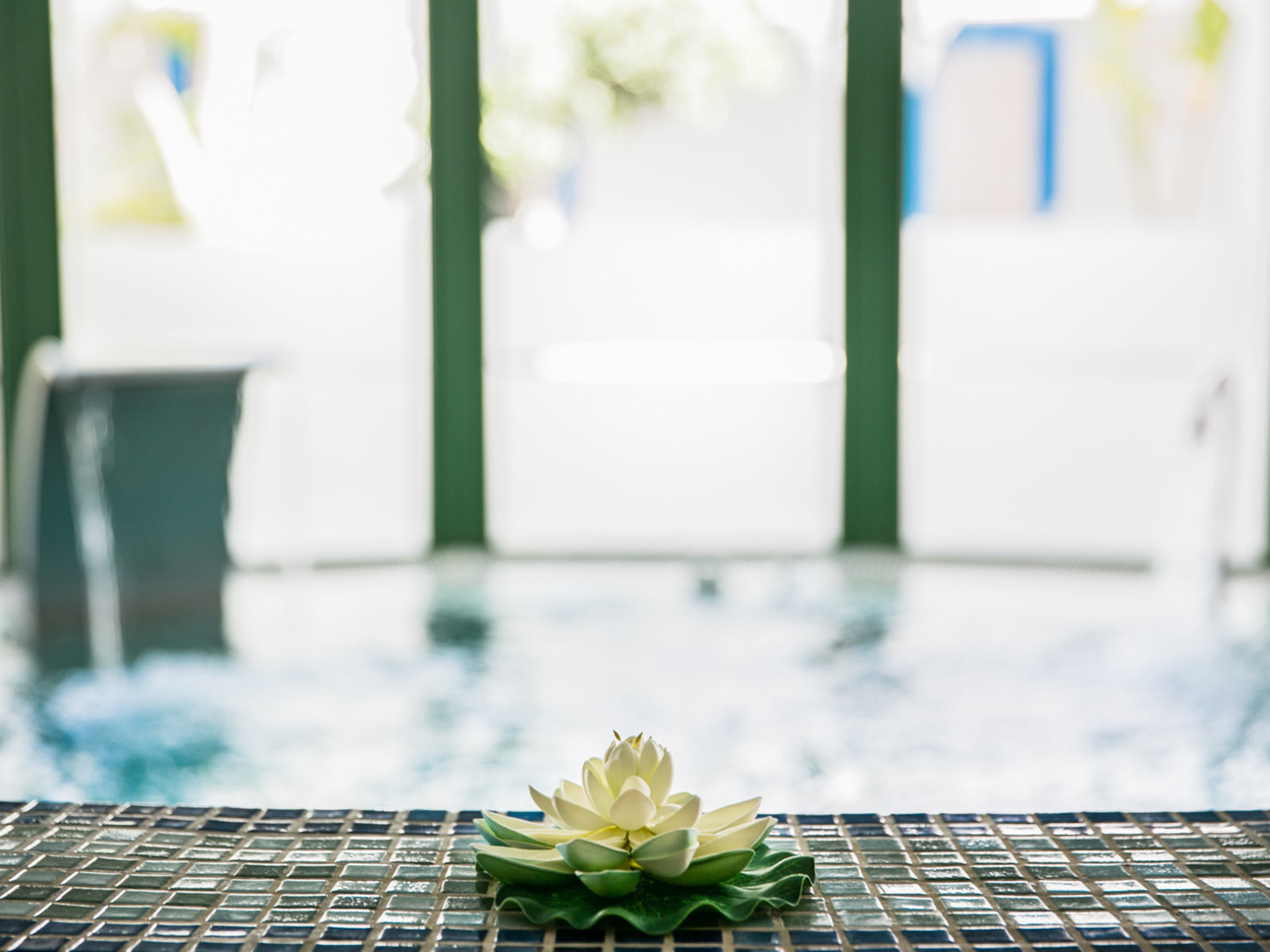 Wellness