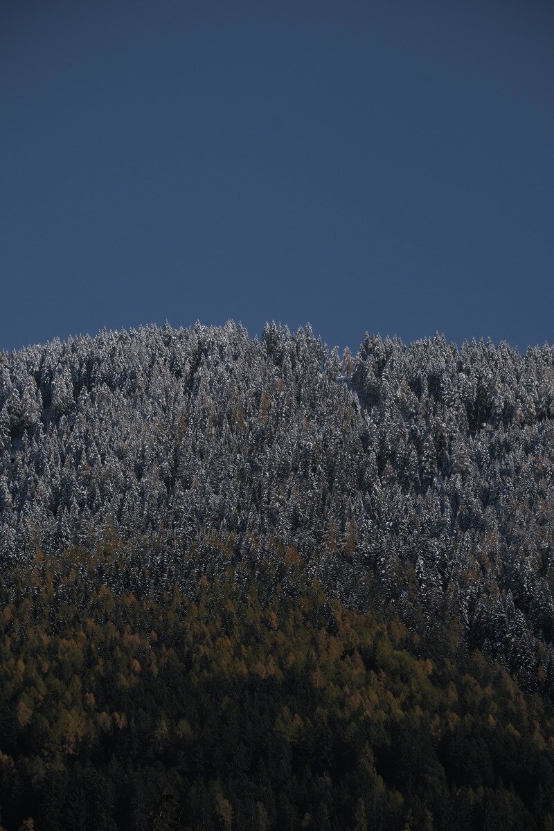 Landschaft