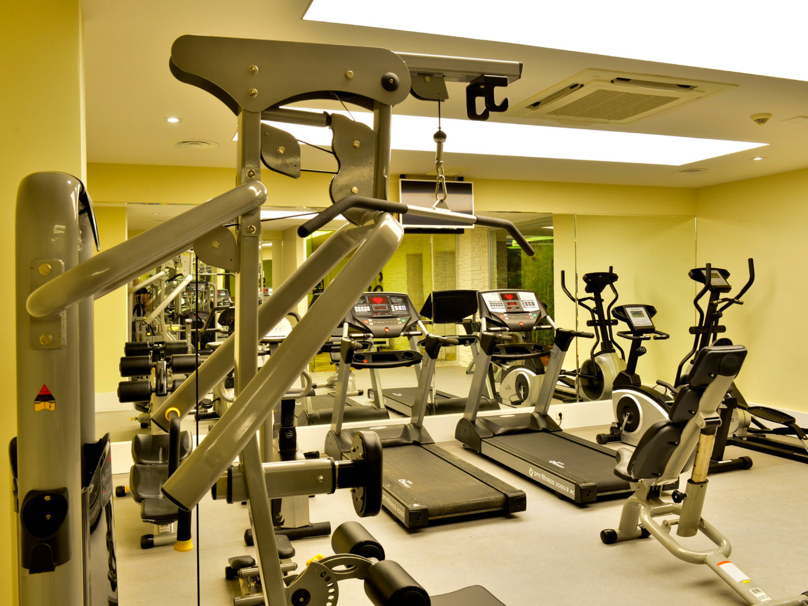 Sport