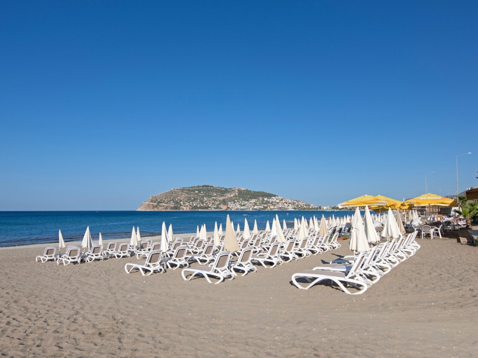 Beach Bar