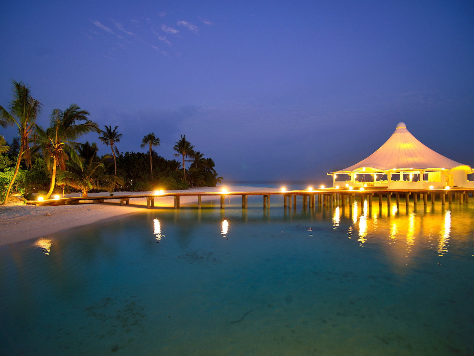 Palm Bar