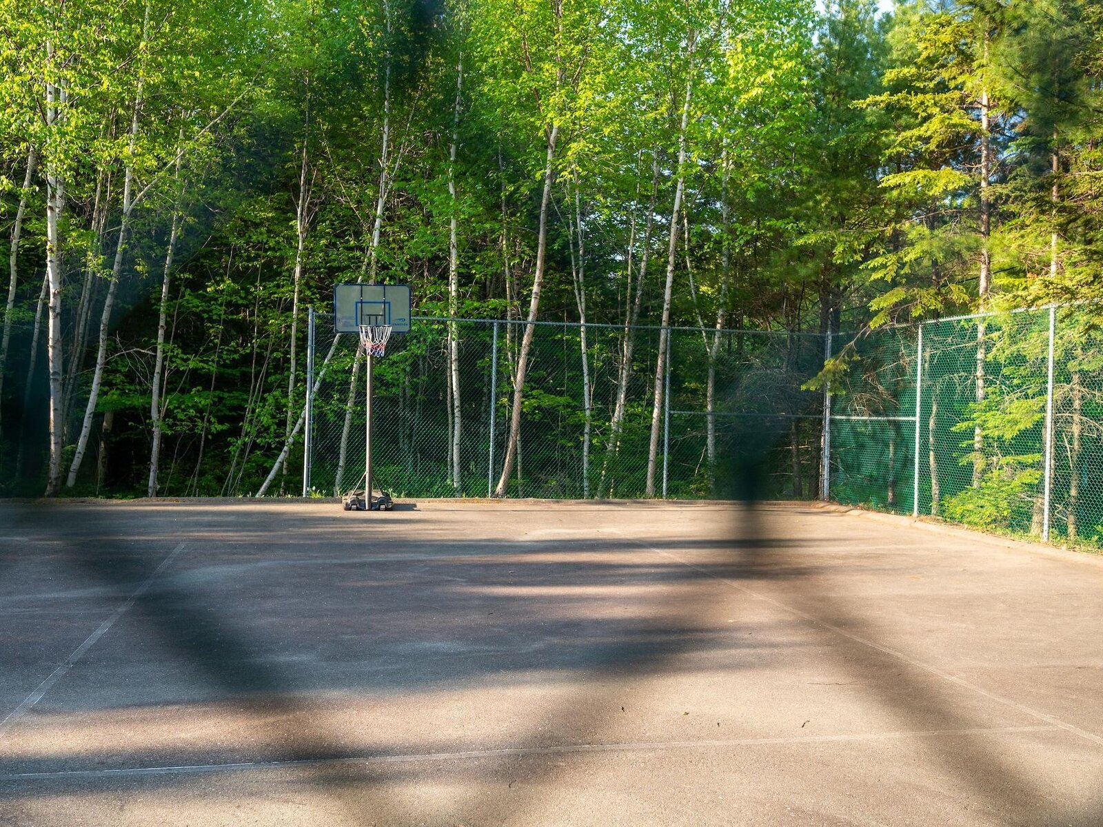 Sport