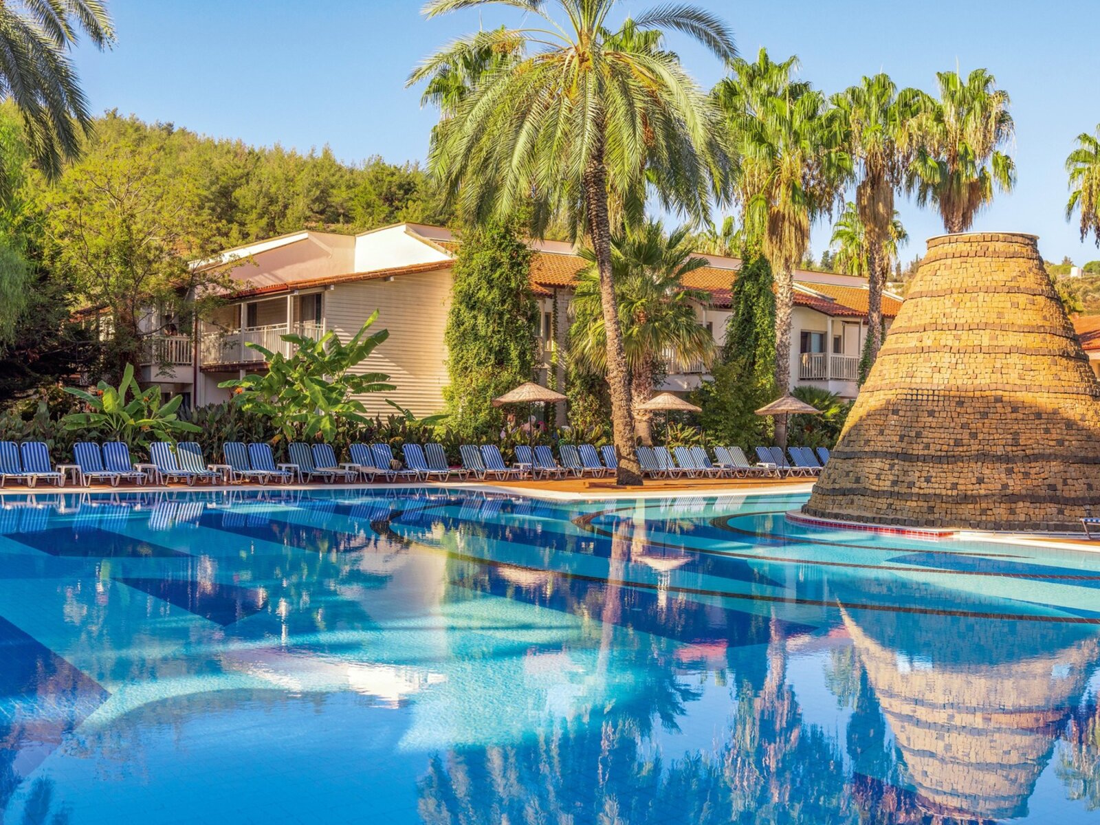 Flamingo Pool