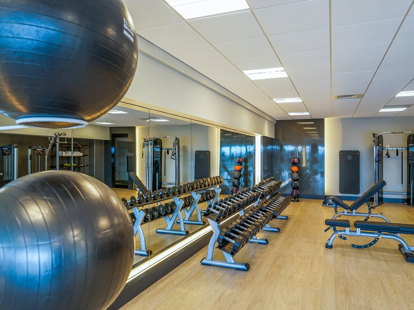 Sport