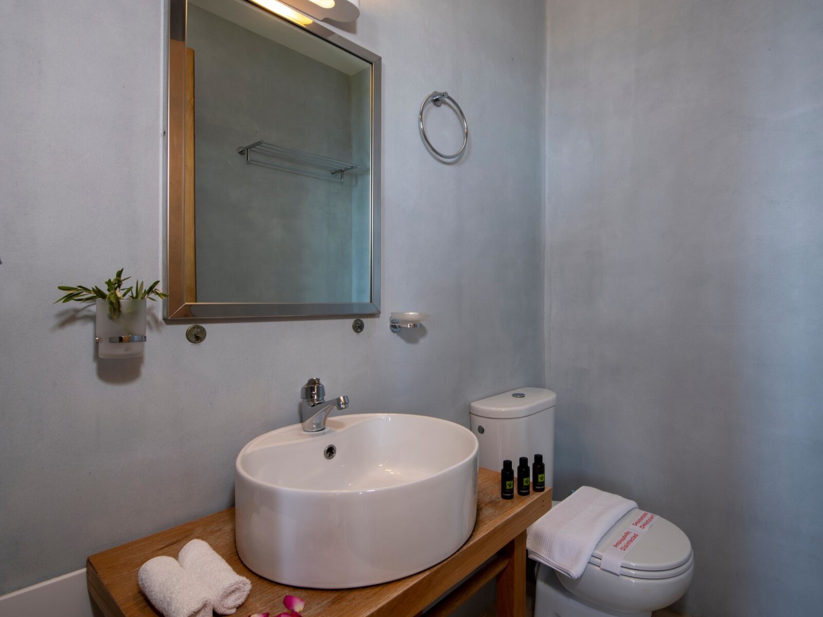 Wohnbeispiel Luxury Junior Suite Private Pool
