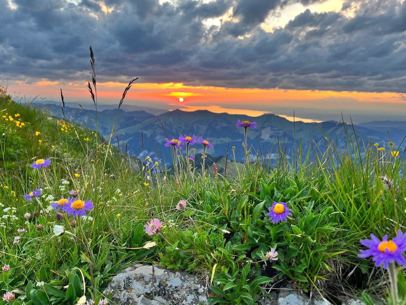 Landschaft