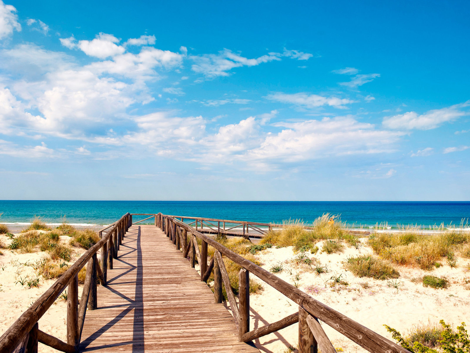 La Barrosa