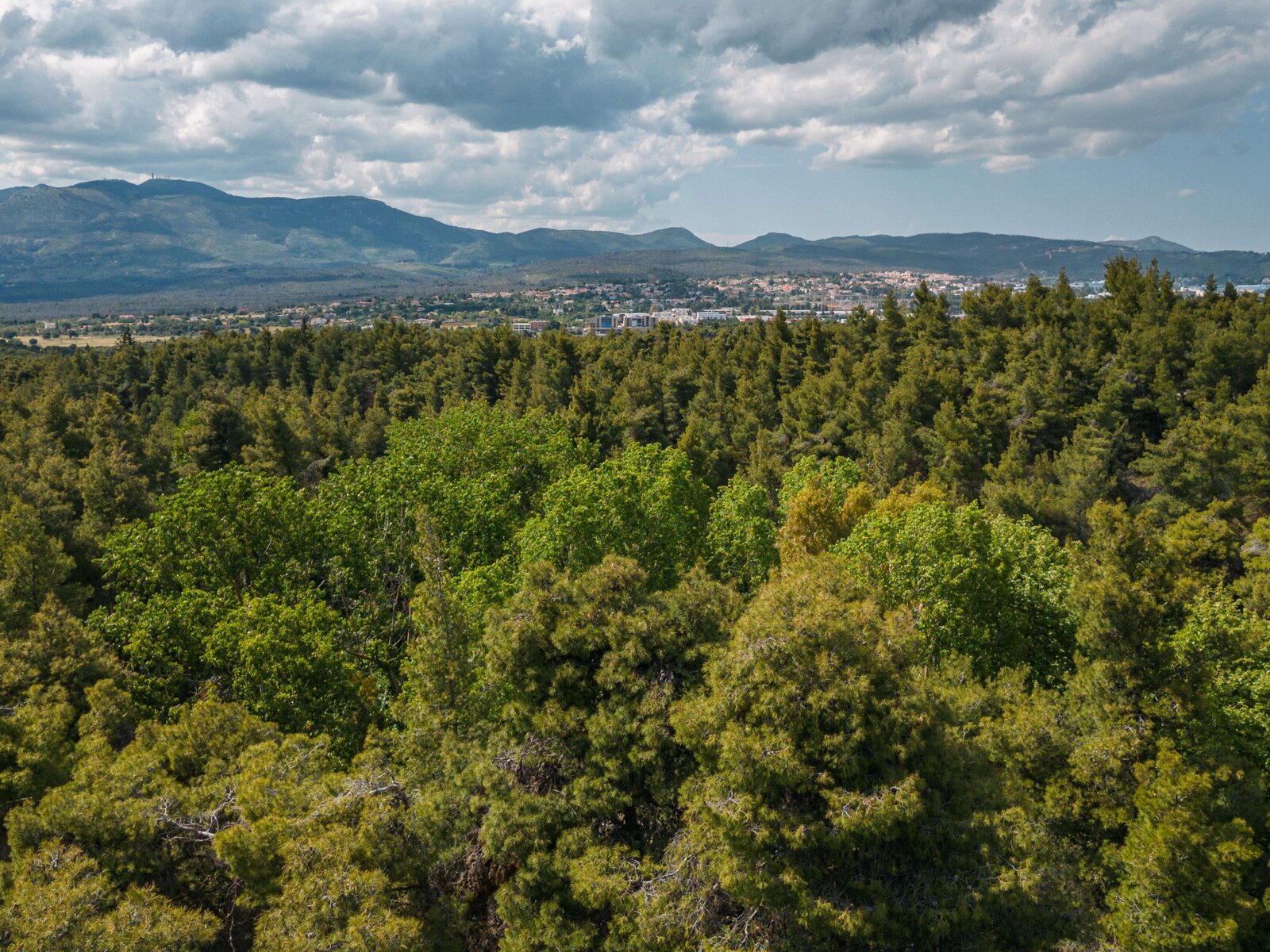 Landschaft