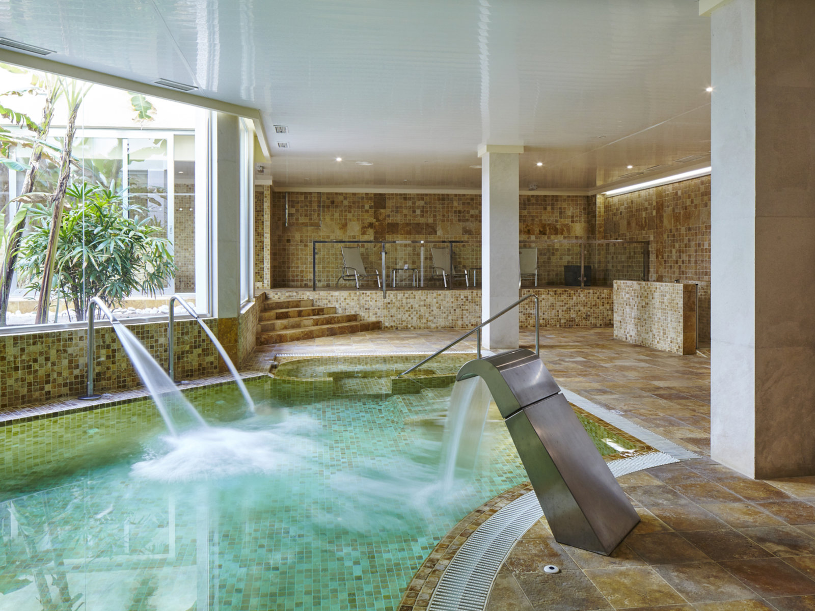 Wellness