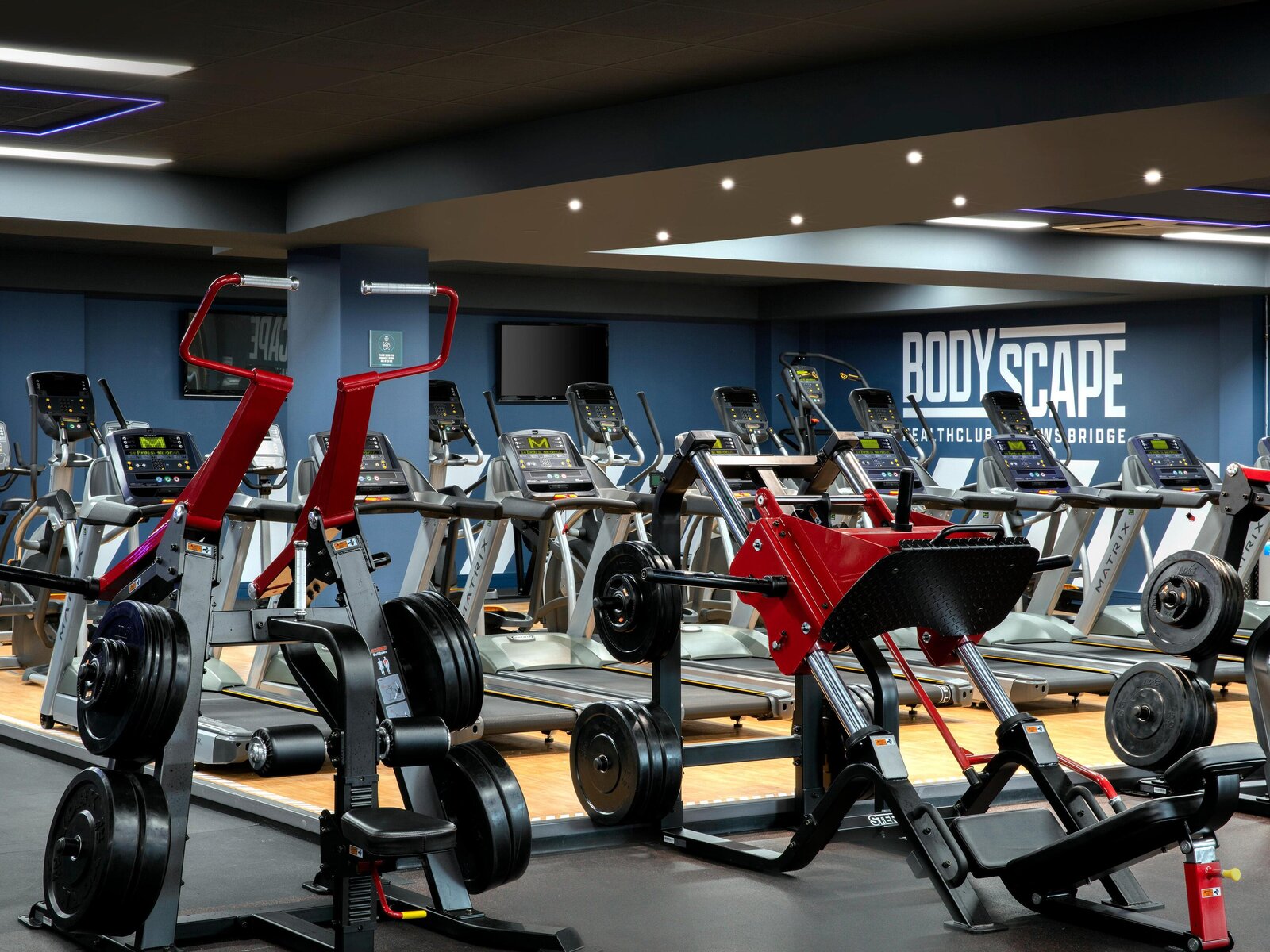 Sport