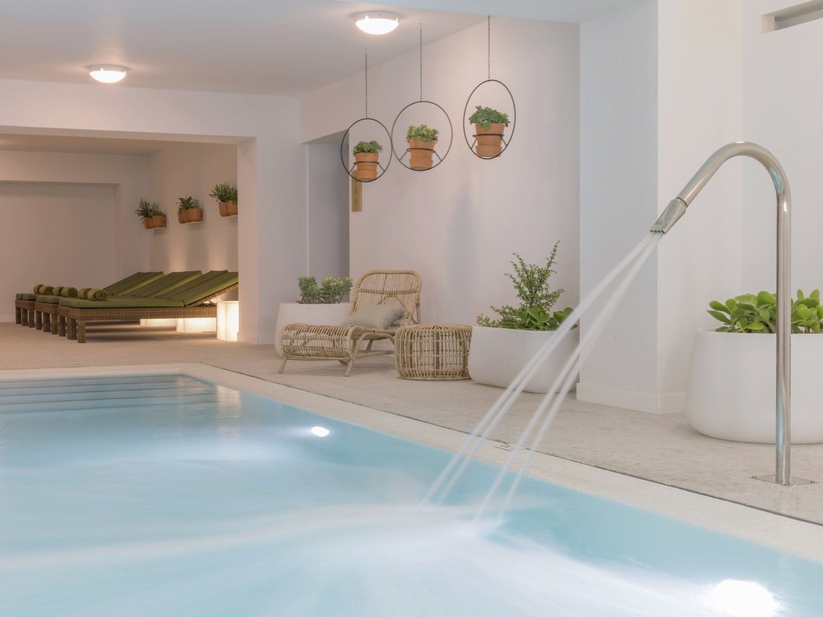 Wellness
