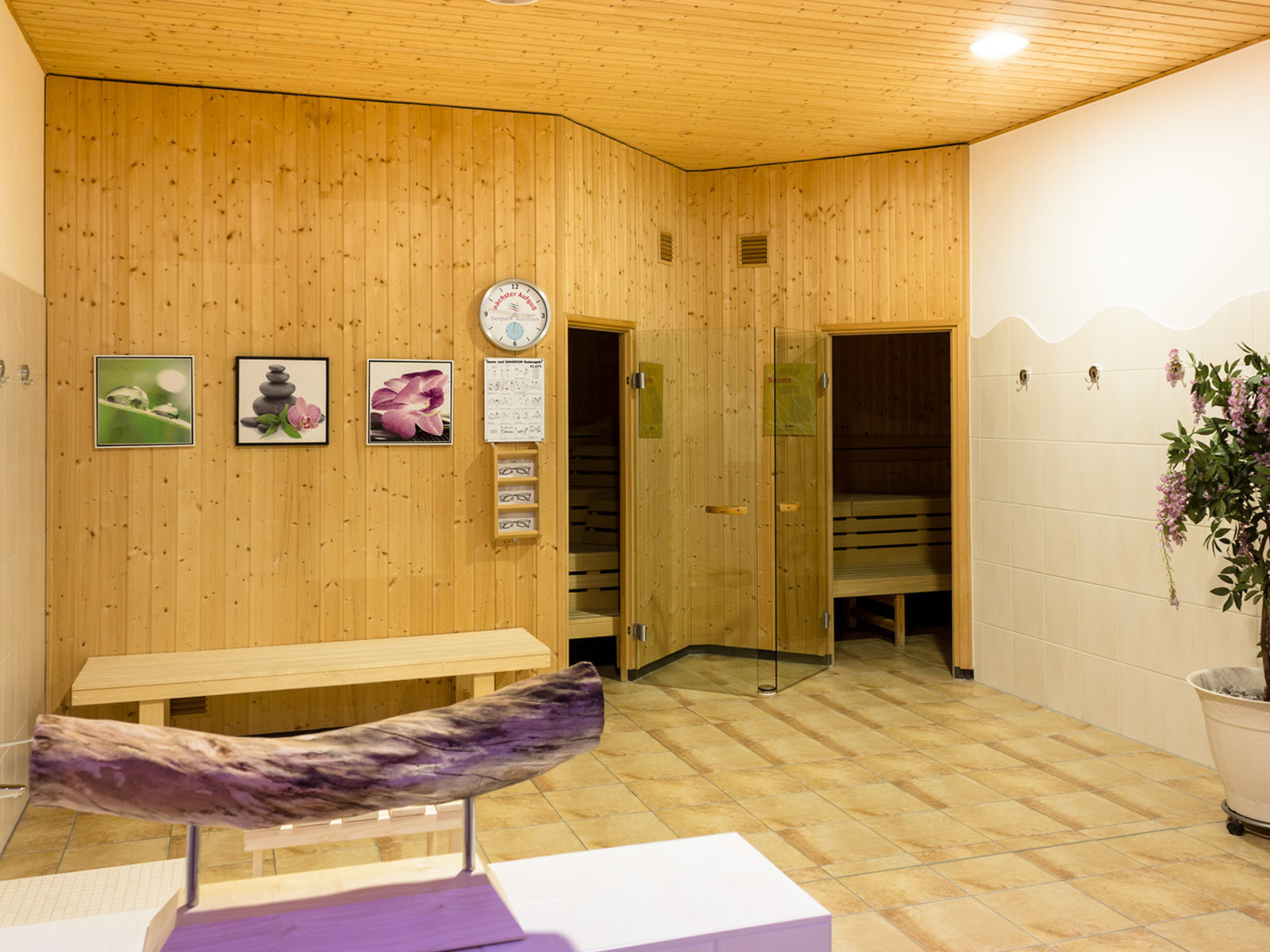 Wellness