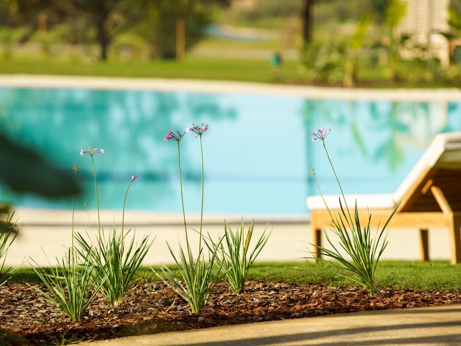 La Bartola pool