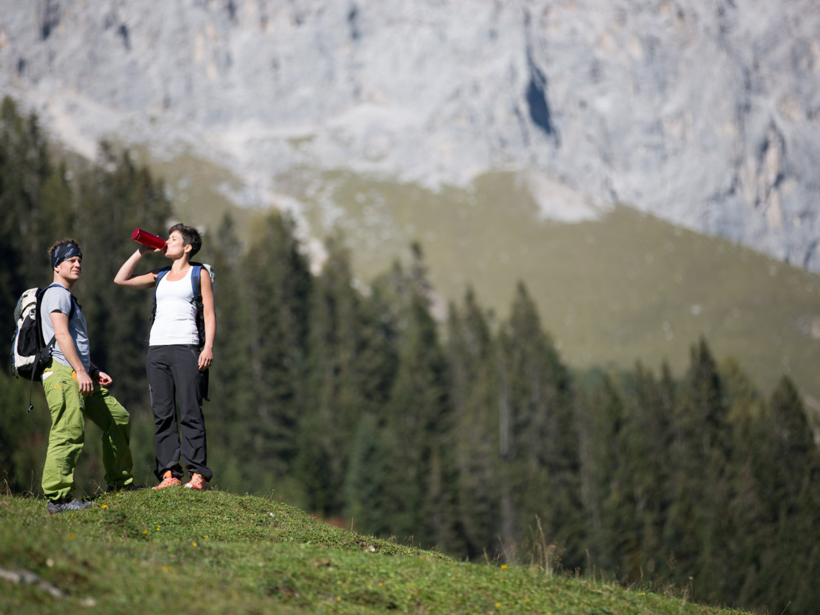 Landschaft