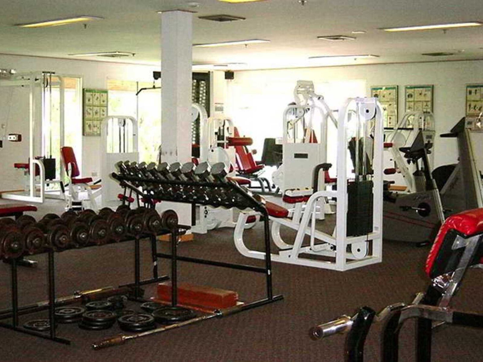 Sport