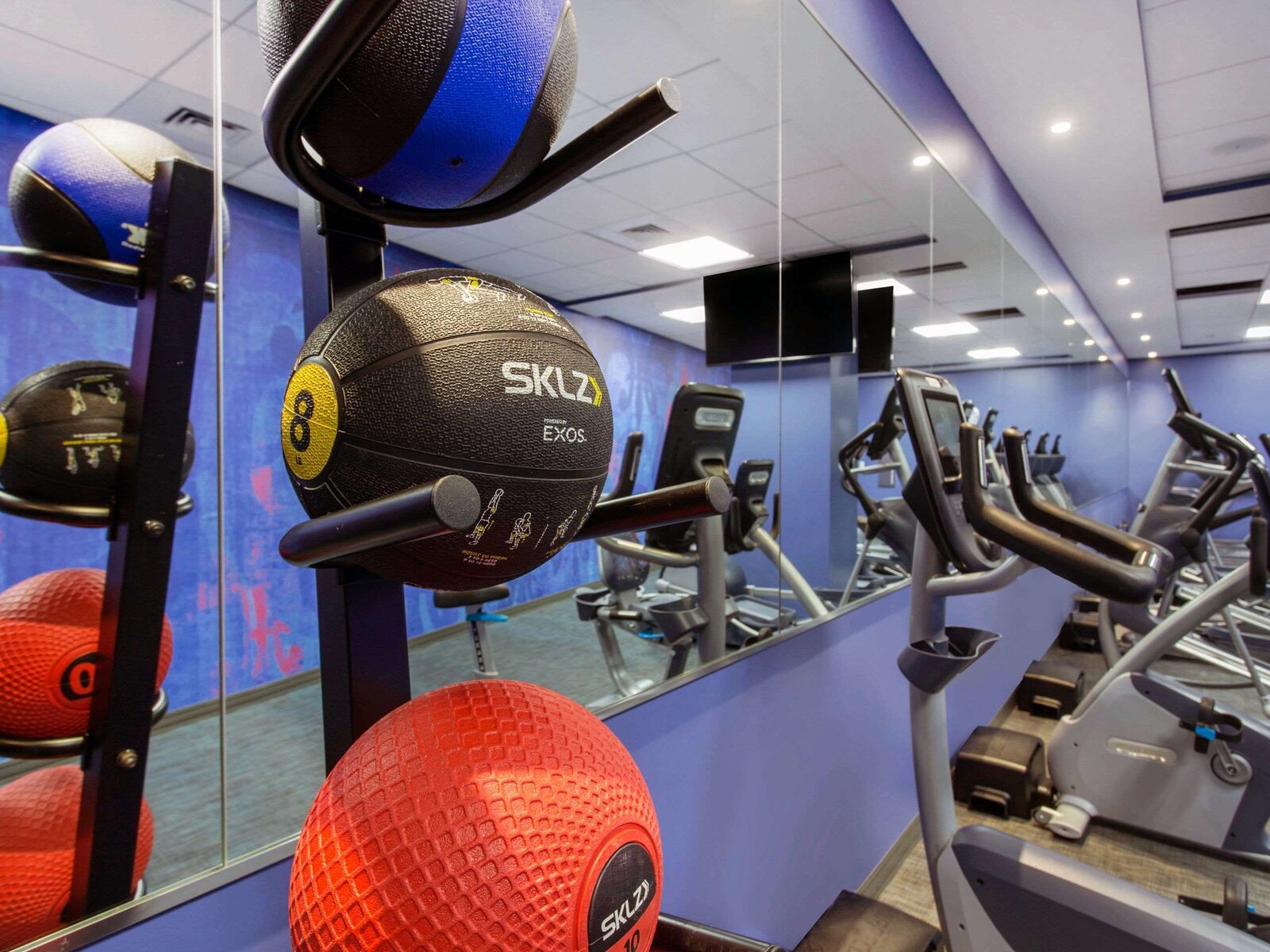 Sport