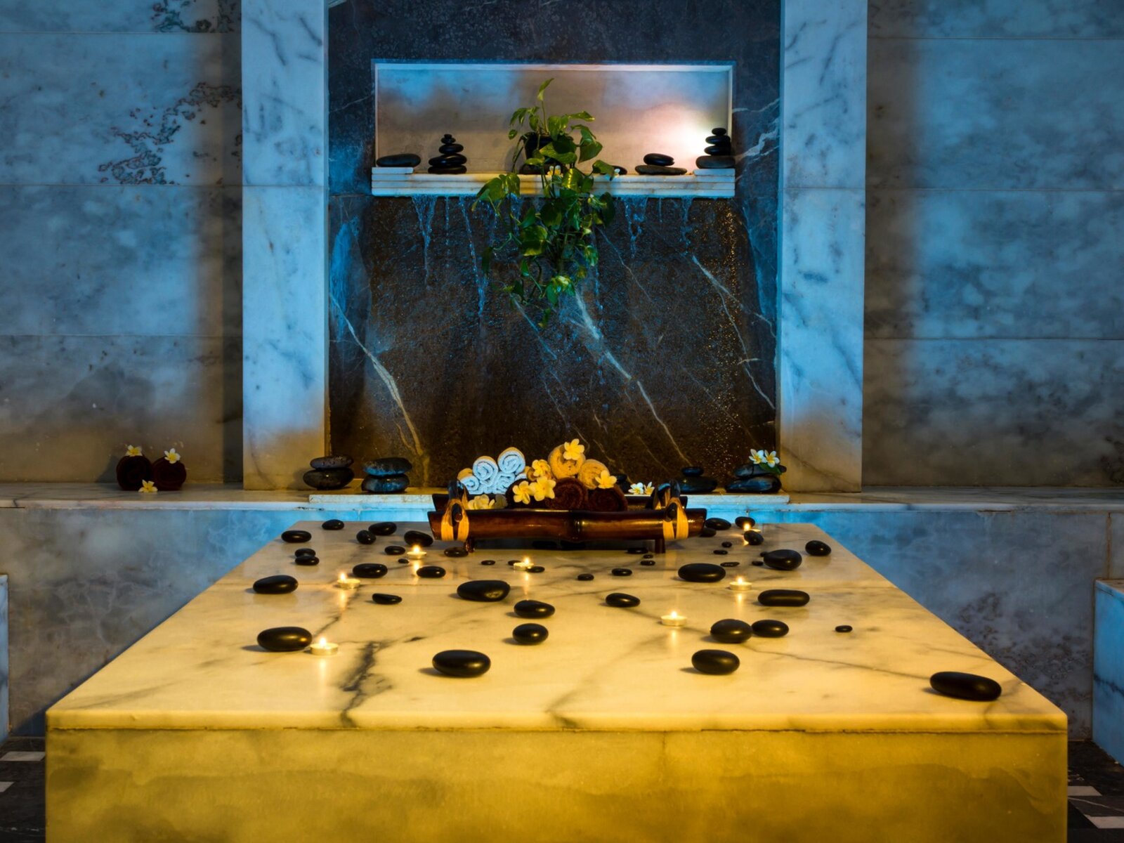 Wellness