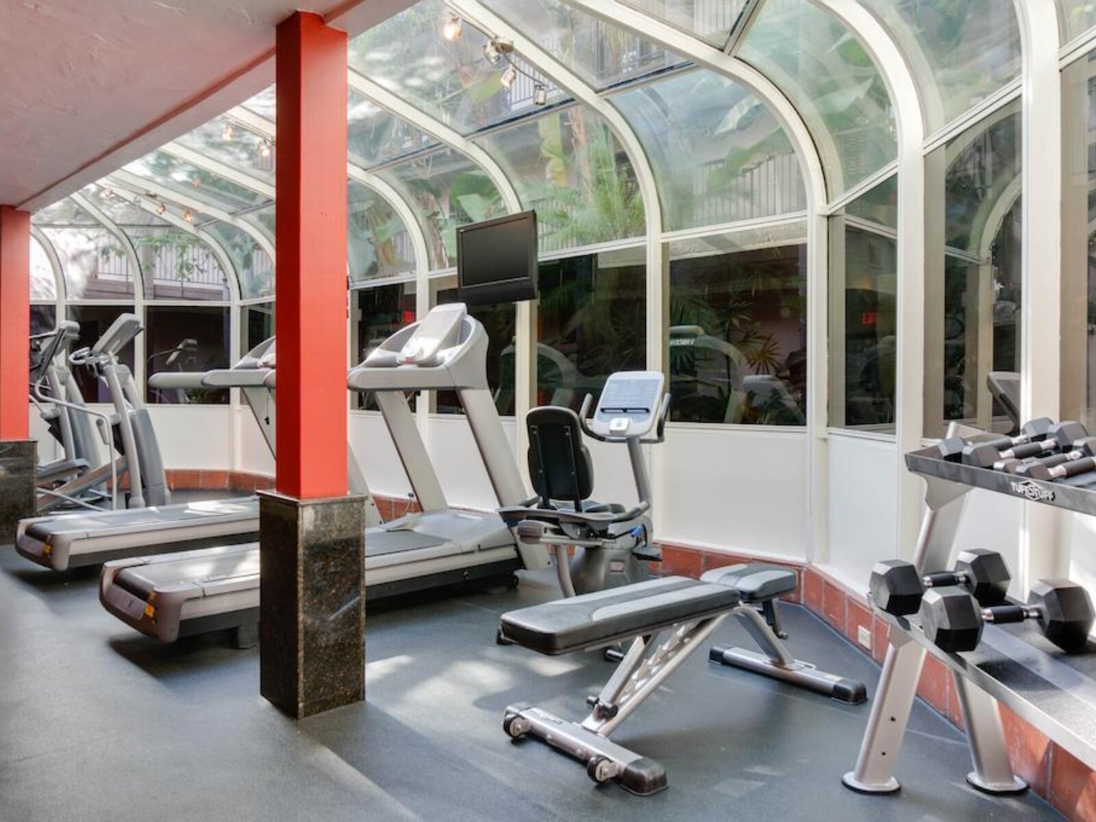 Sport
