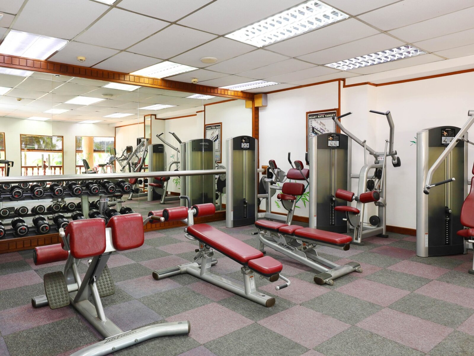 Sport