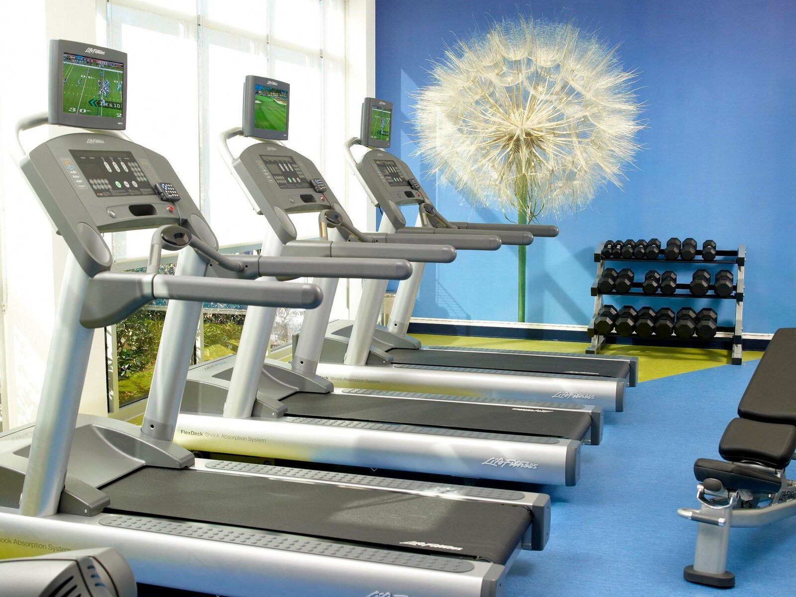 Sport
