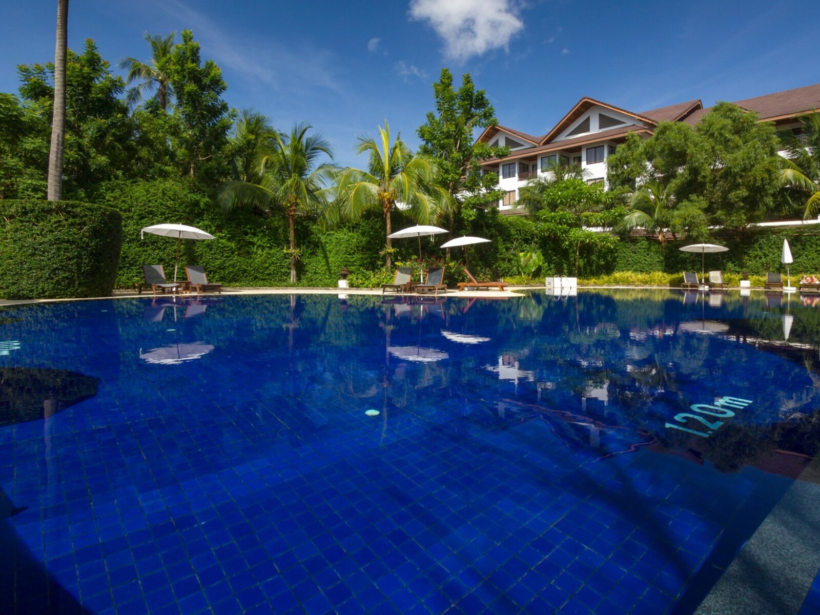 Swimming Pool 5