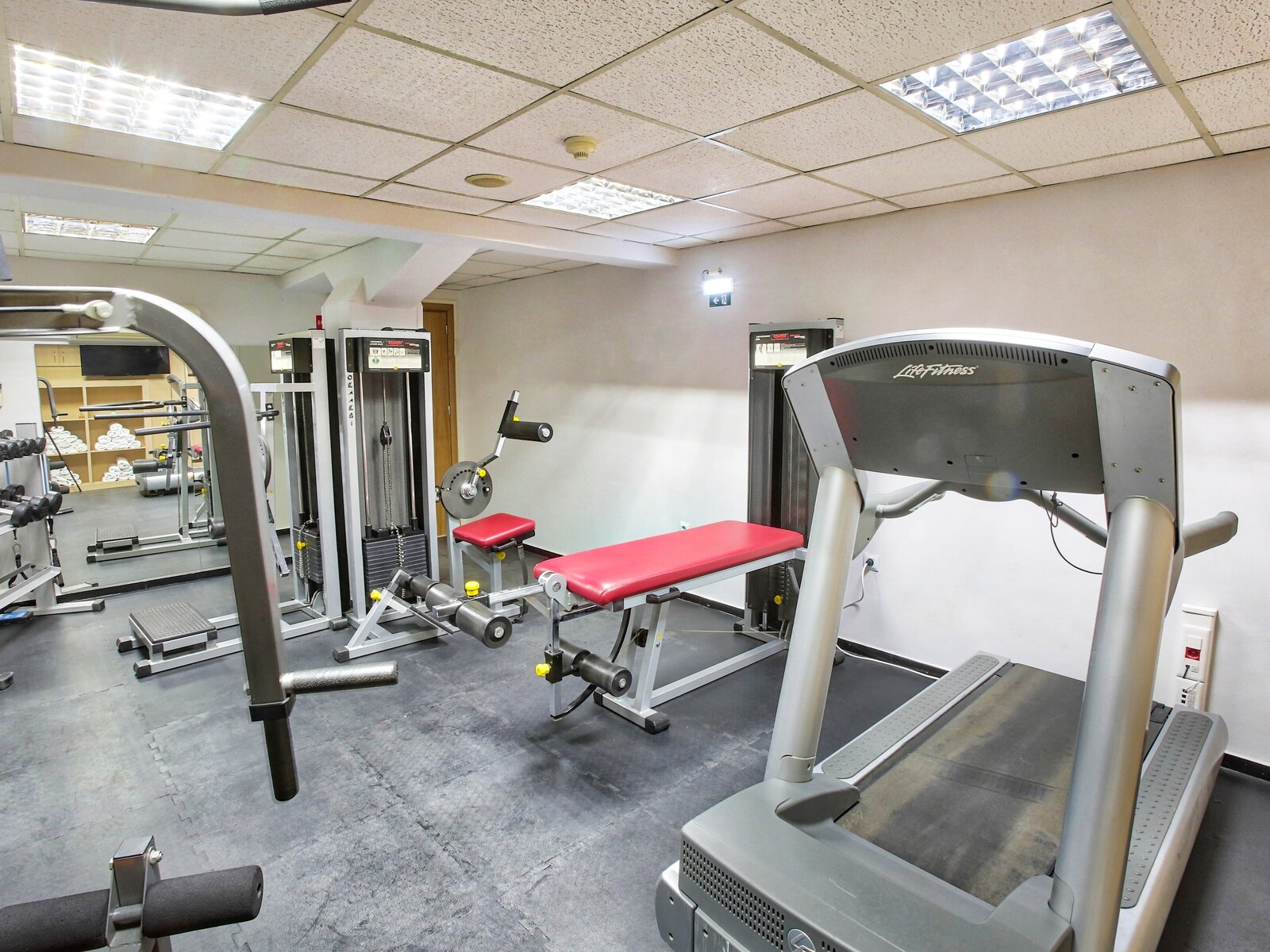 Sport