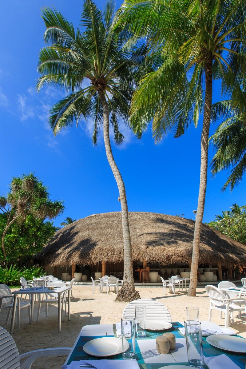 Palm