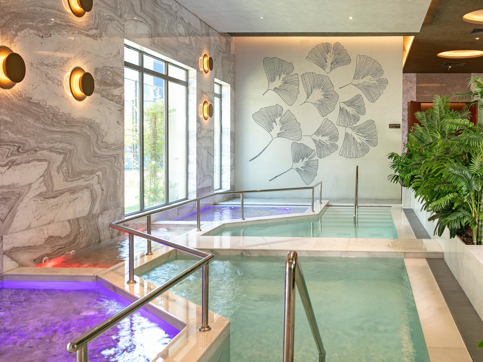 Wellness