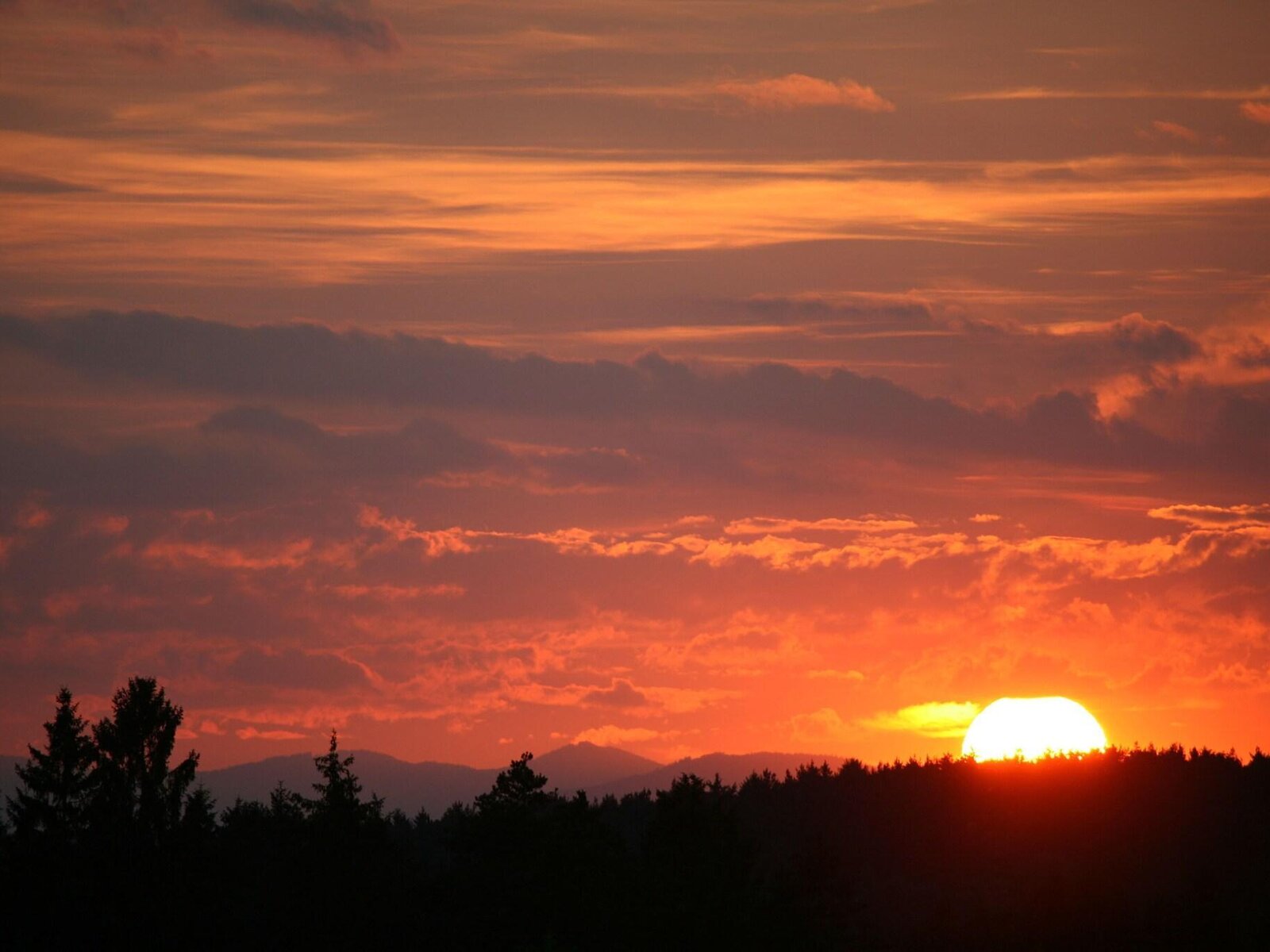 Landschaft