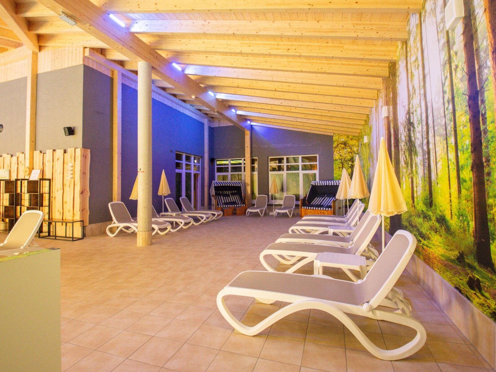 Wellness