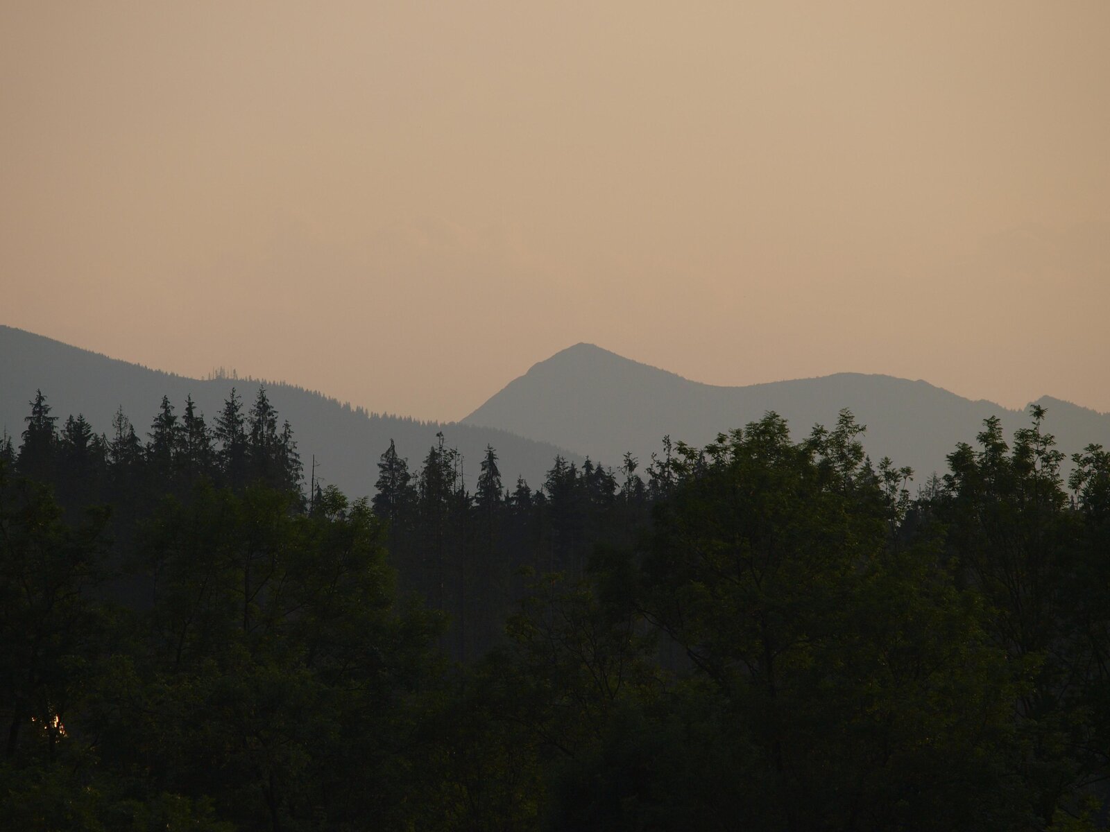 Landschaft