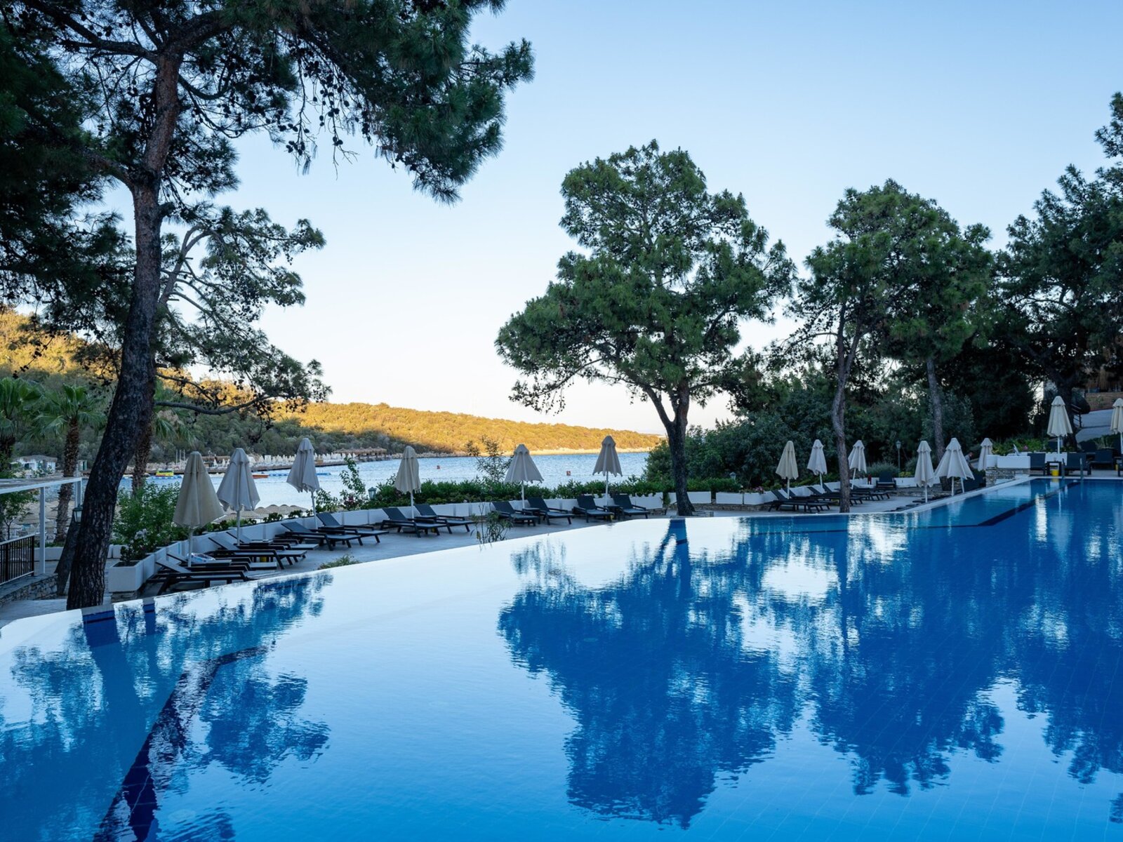 Main Pool
