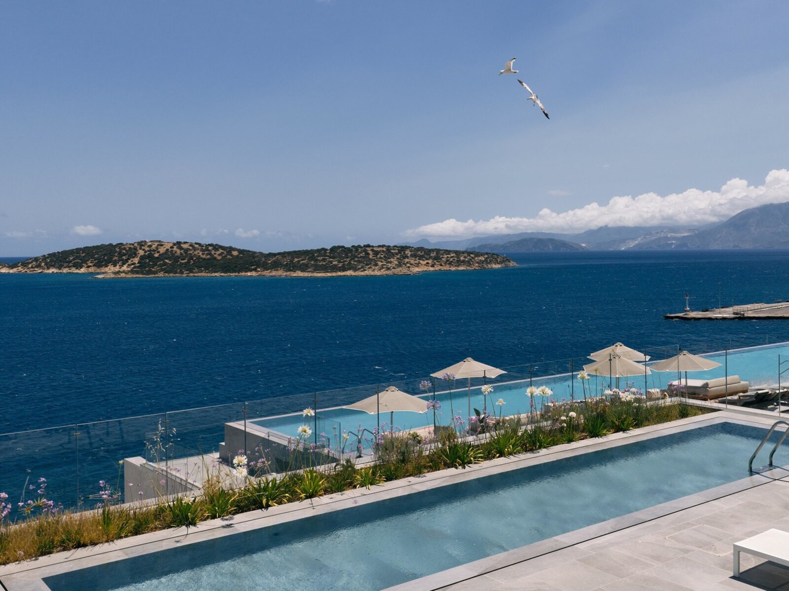 Wohnbeispiel Premium Sea View with Sharing Pool