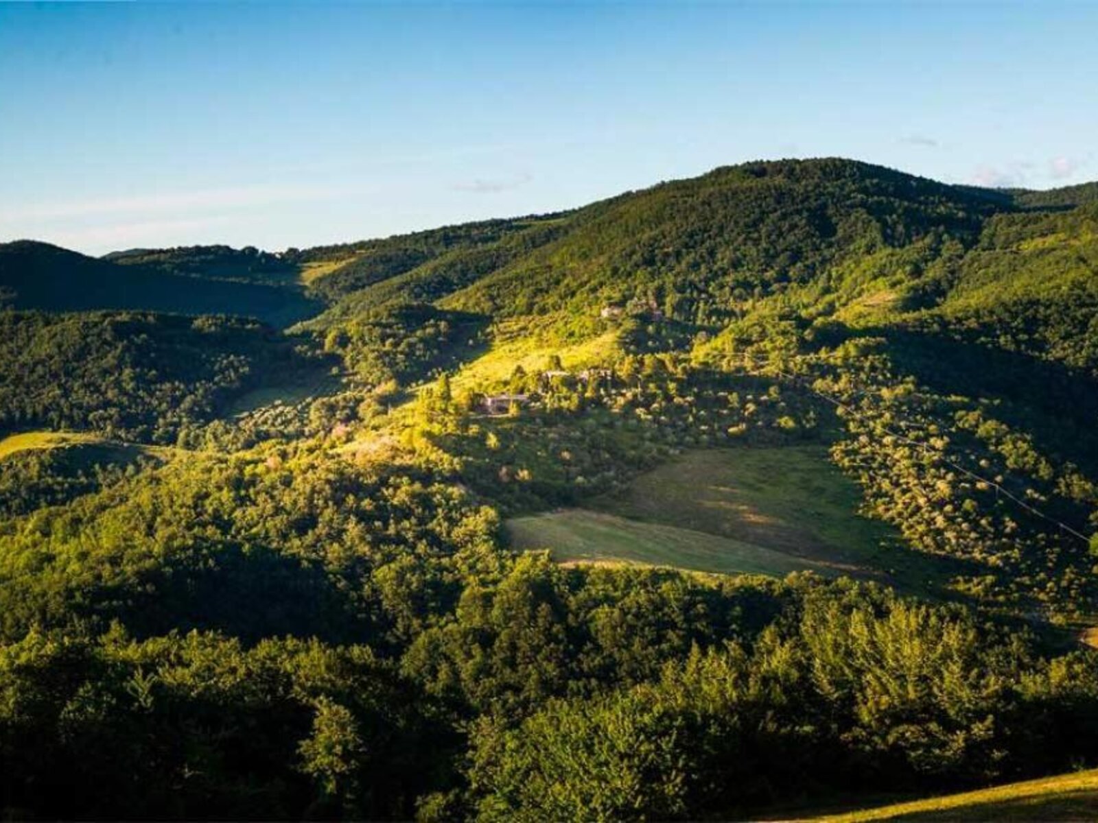 Landschaft