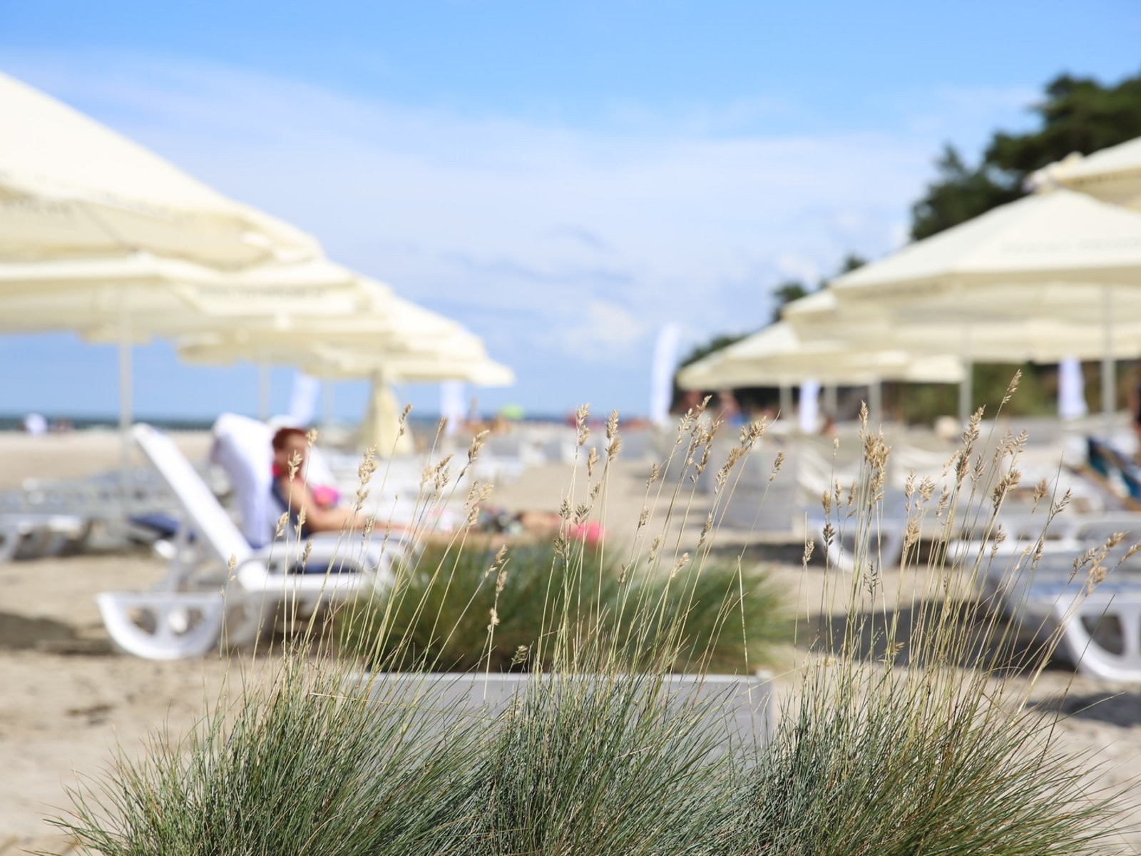 Strand