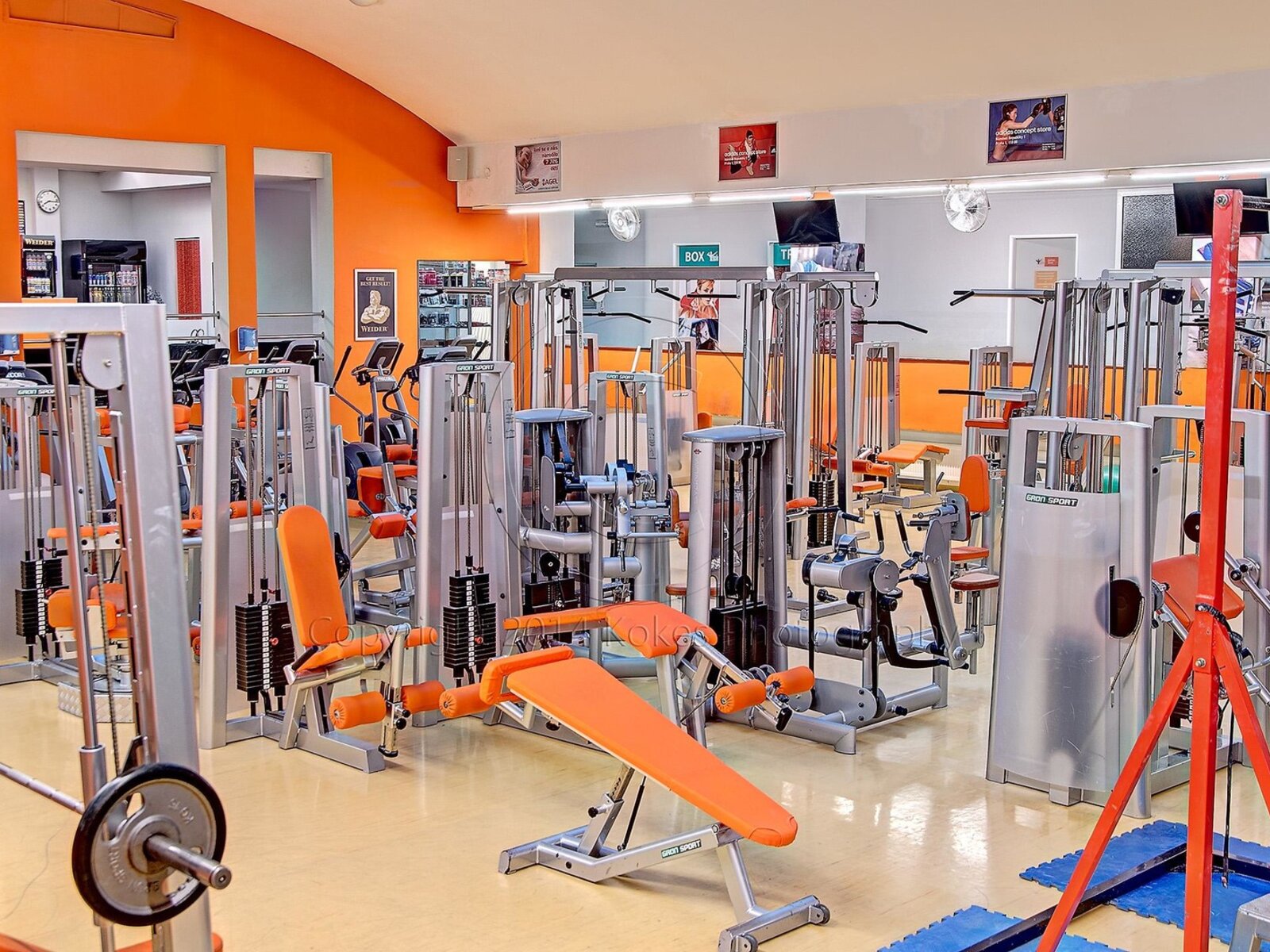 Sport
