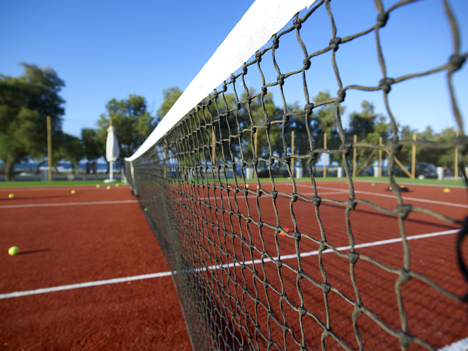 Sport