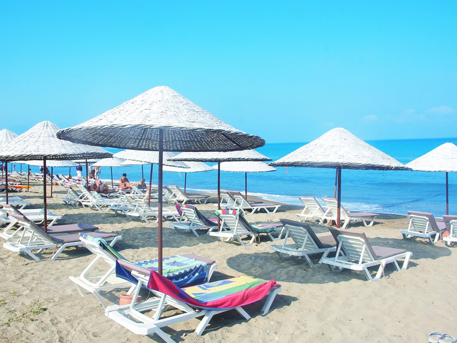Strand