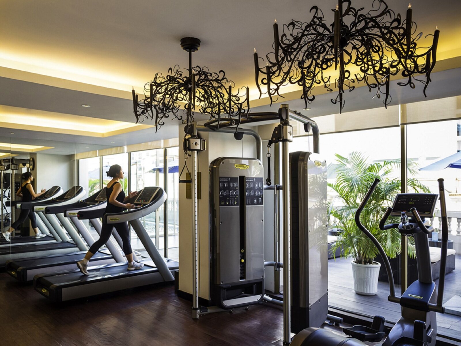 Sport