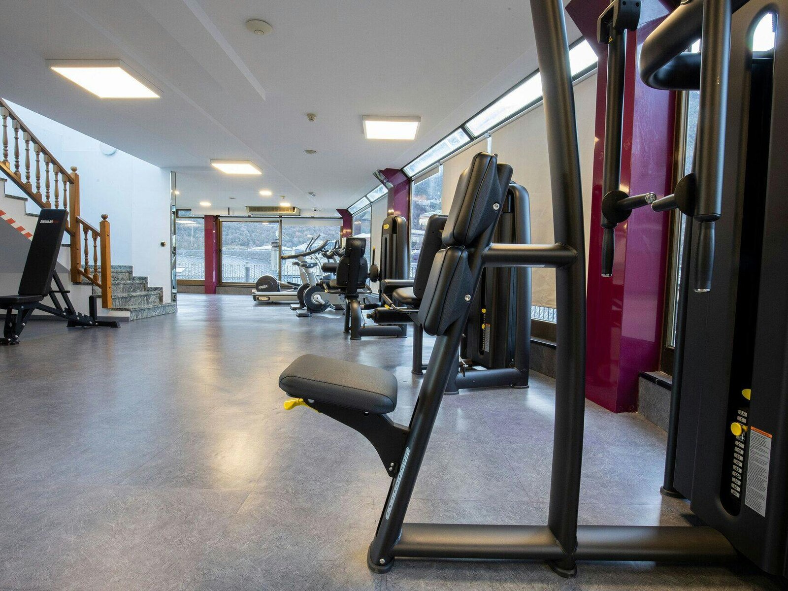 Sport