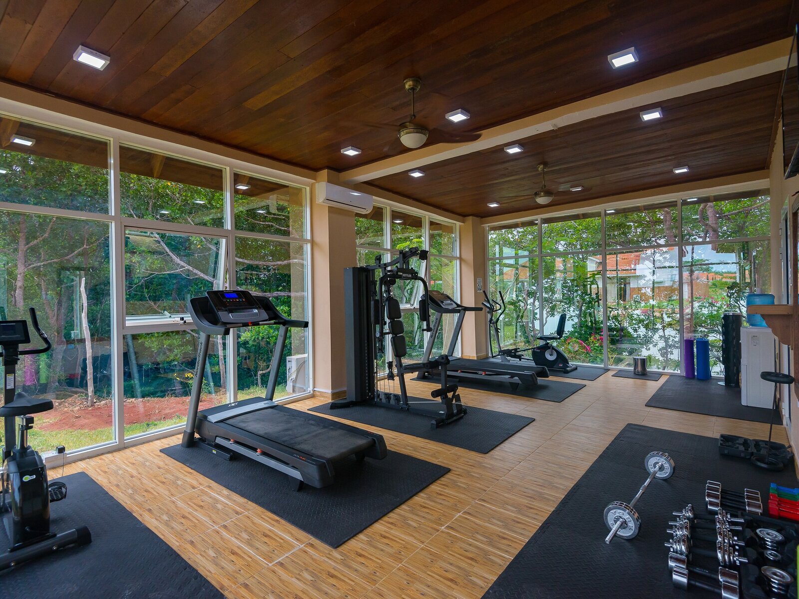 Sport