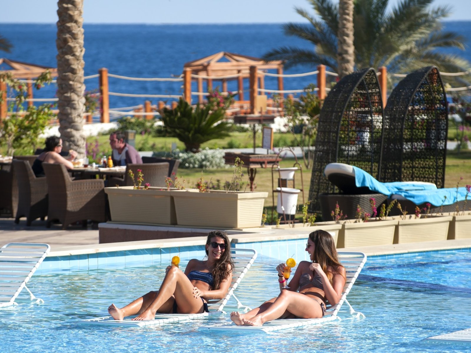 Island Pool (2 Pools)