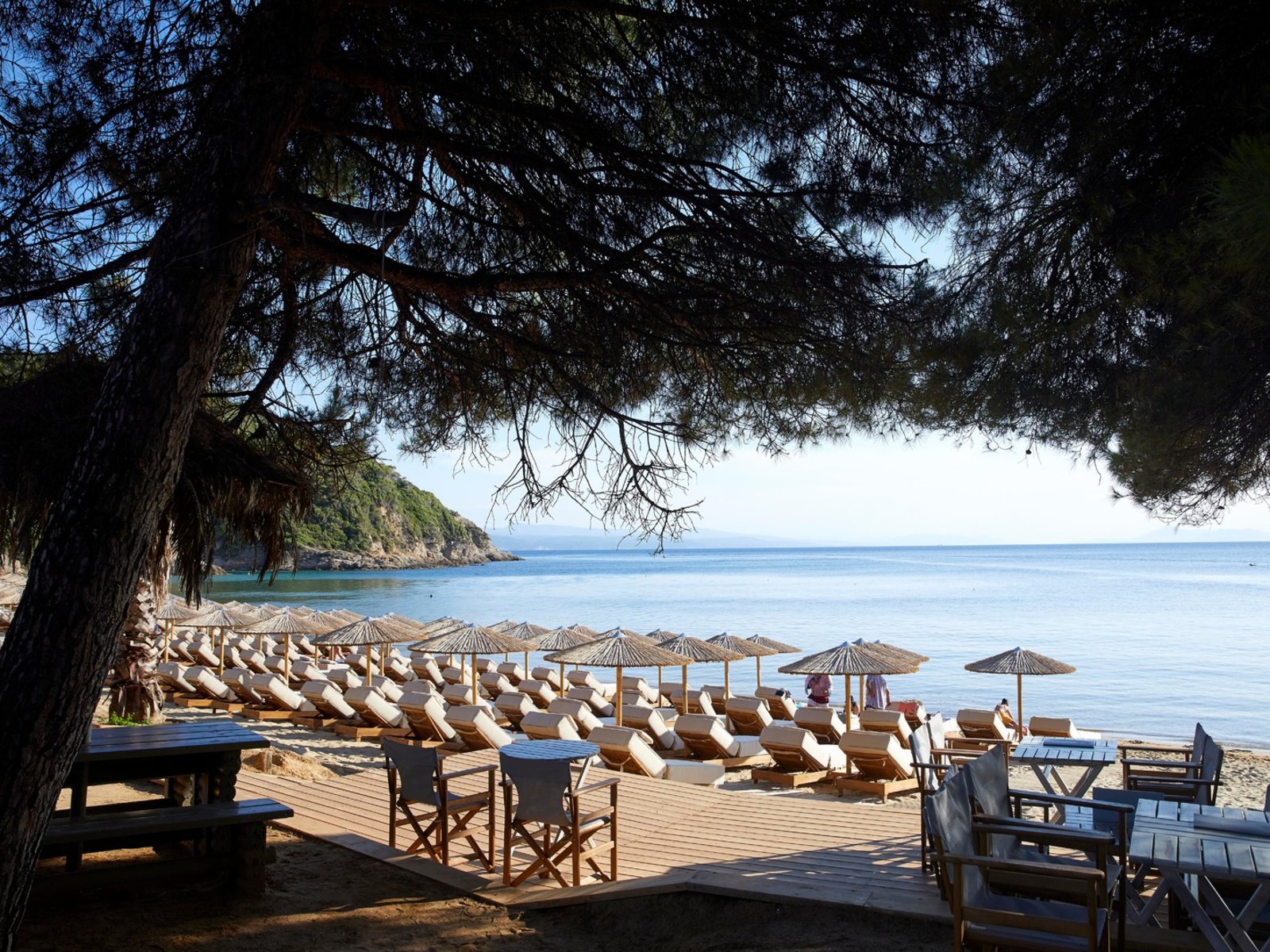 Nest Beach Bar