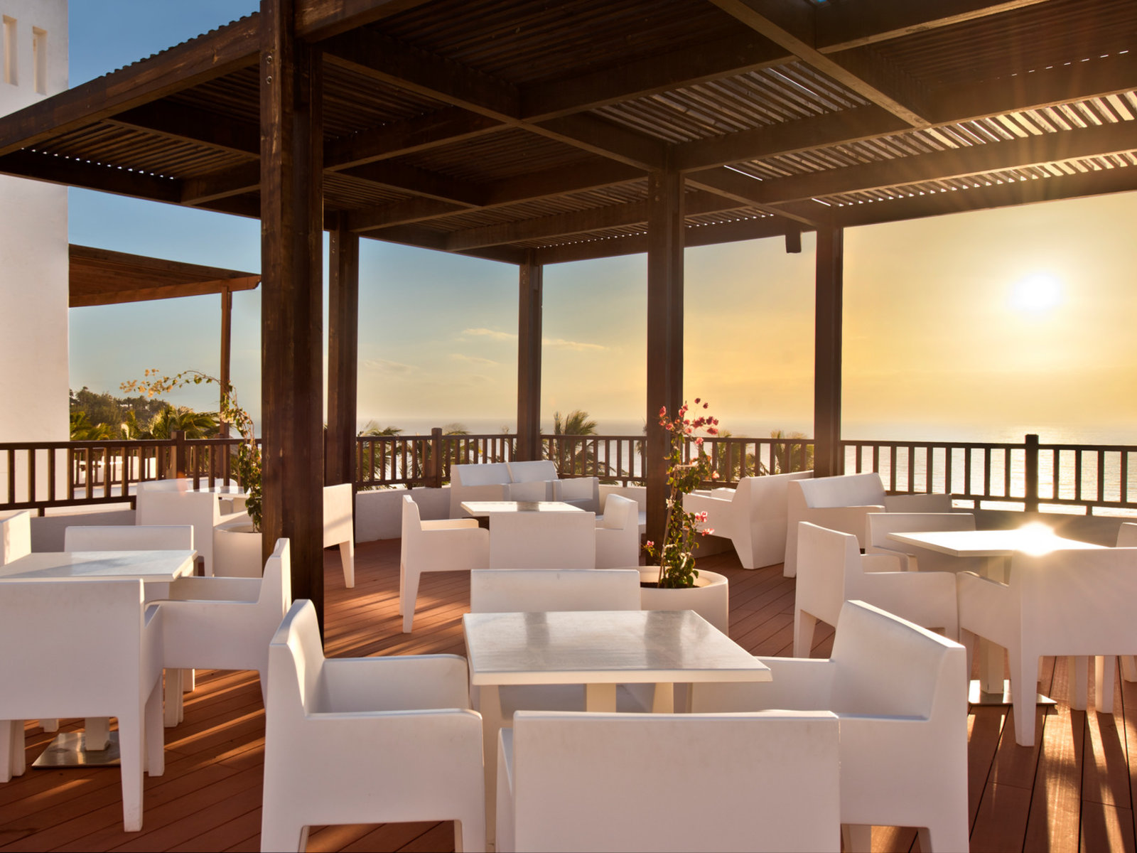 Bar Terraza
