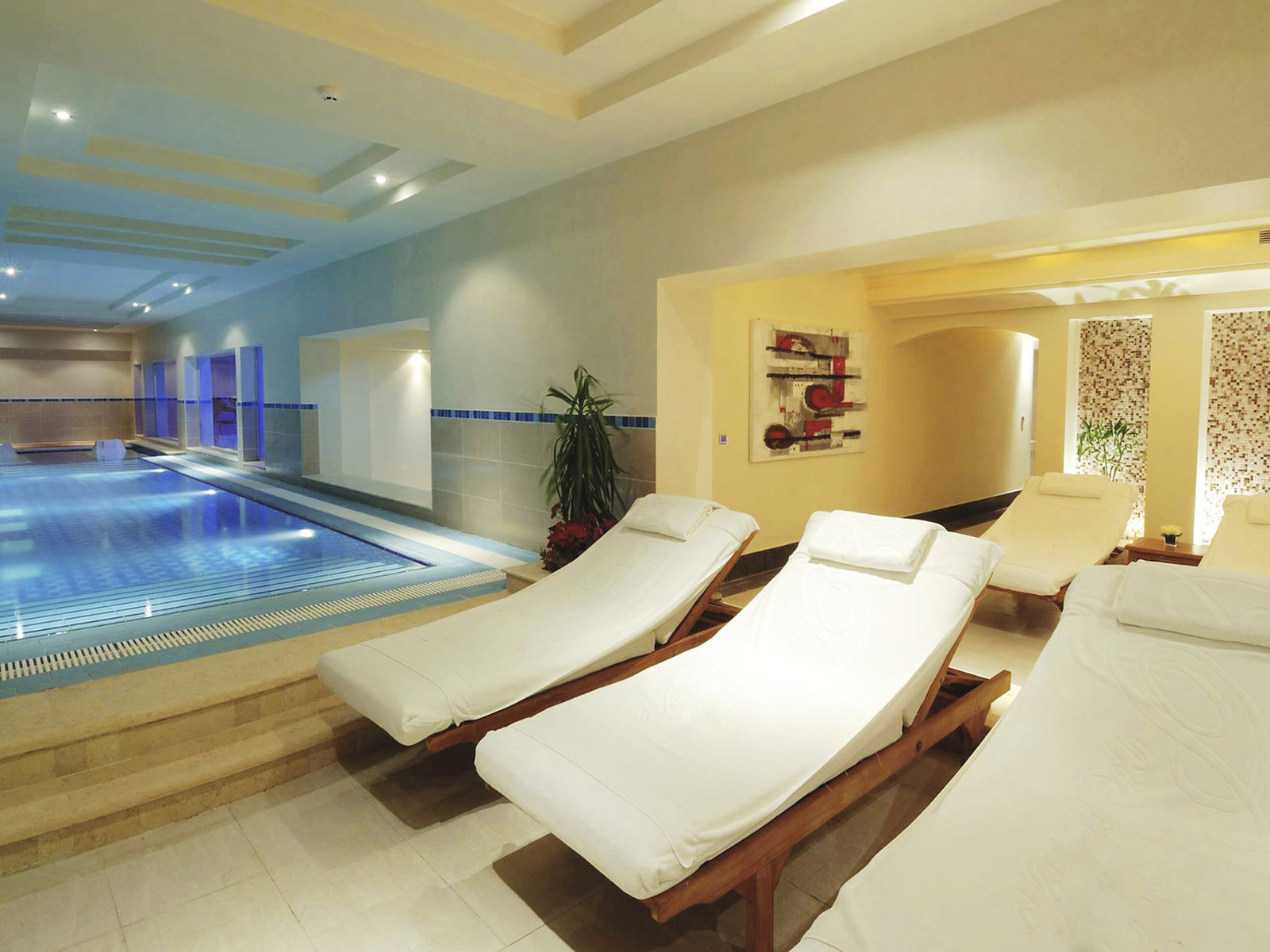 Wellness