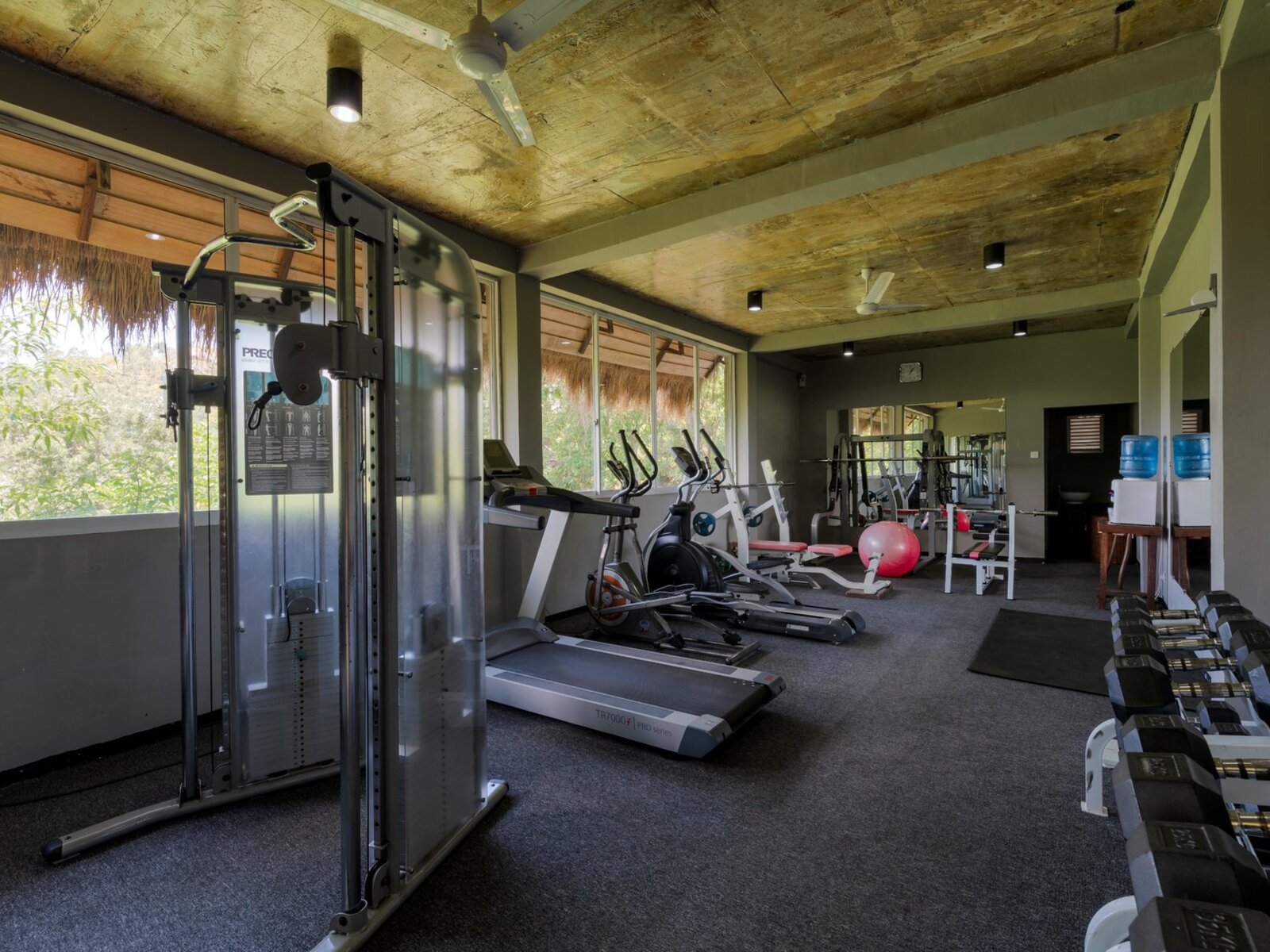 Sport