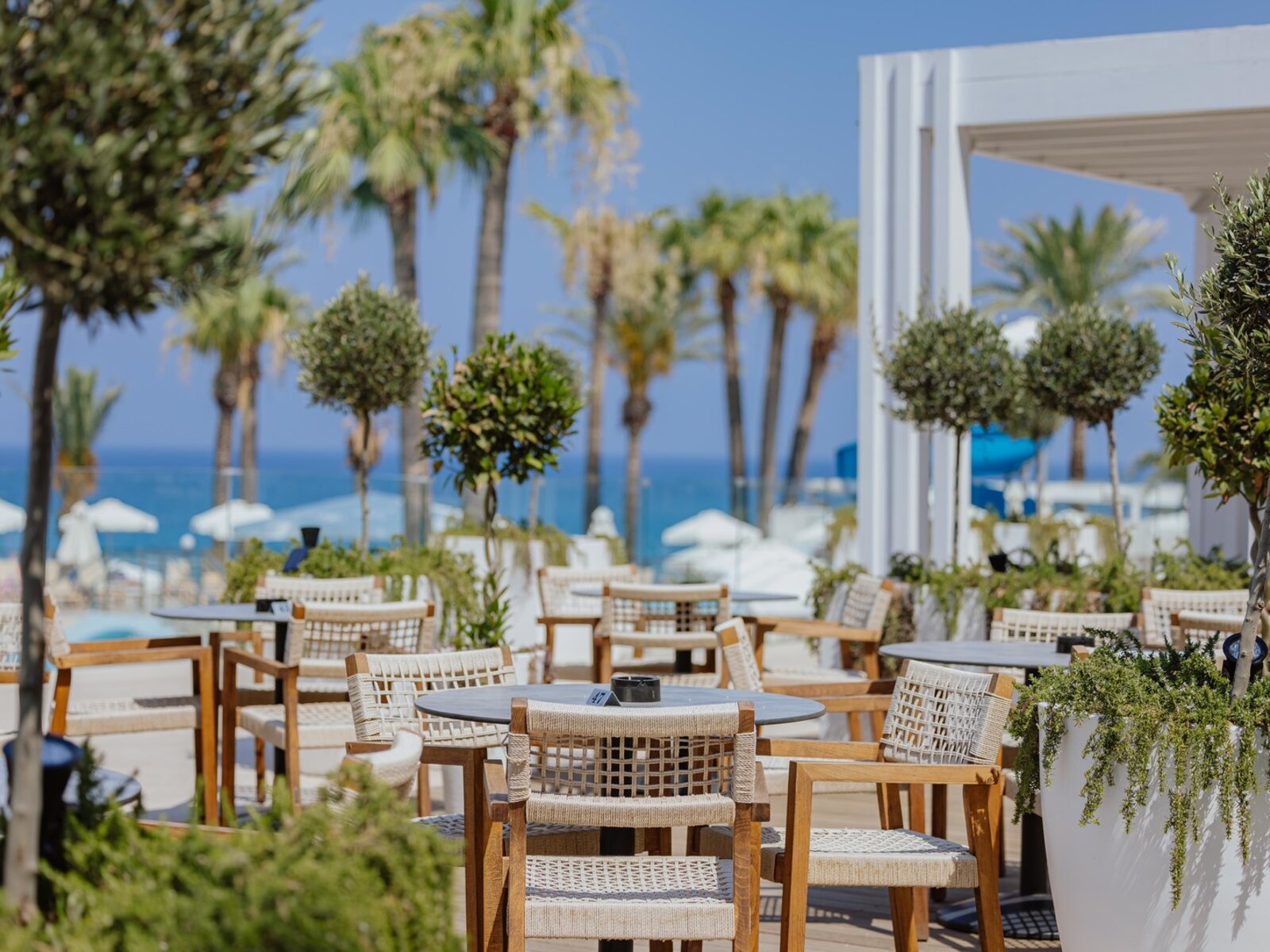 Hesperides Bar